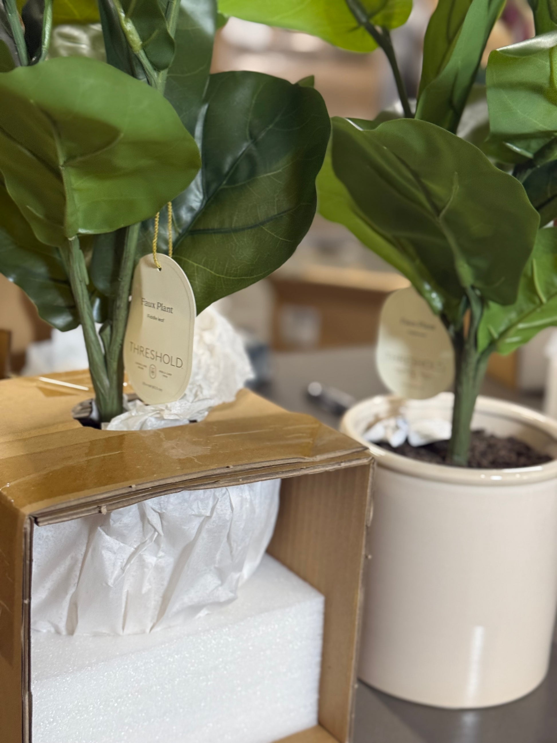 2 Pcs 15 x 10 Artificial Fiddle Leaf Plant in Pot - Threshold: Lush Greenery, Ceramic Base