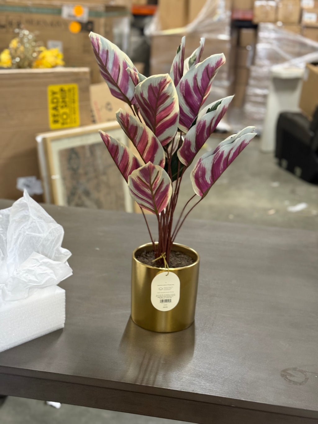 2 PCS Fake Calathea White Fusion Plant