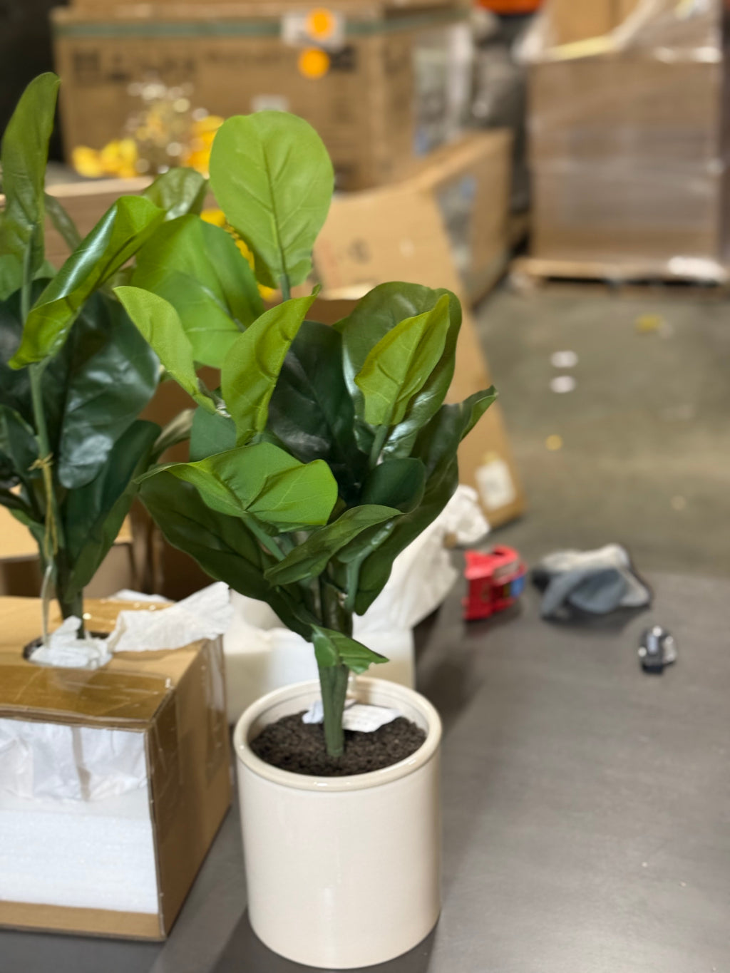 2 Pcs 15 x 10 Artificial Fiddle Leaf Plant in Pot - Threshold: Lush Greenery, Ceramic Base