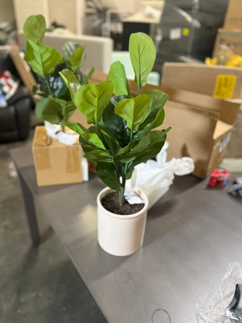 2 Pcs 15 x 10 Artificial Fiddle Leaf Plant in Pot - Threshold: Lush Greenery, Ceramic Base