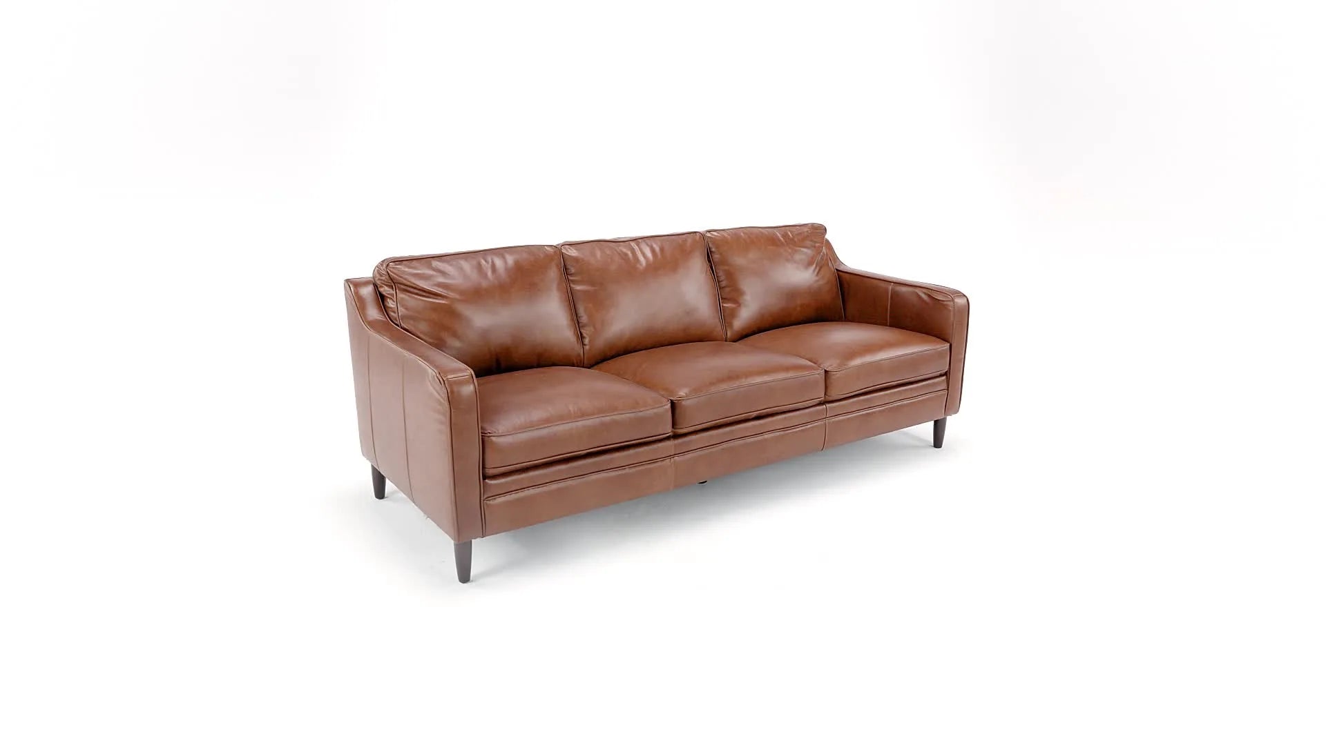 Ashtabula Genuine Leather Square Arm Sofa