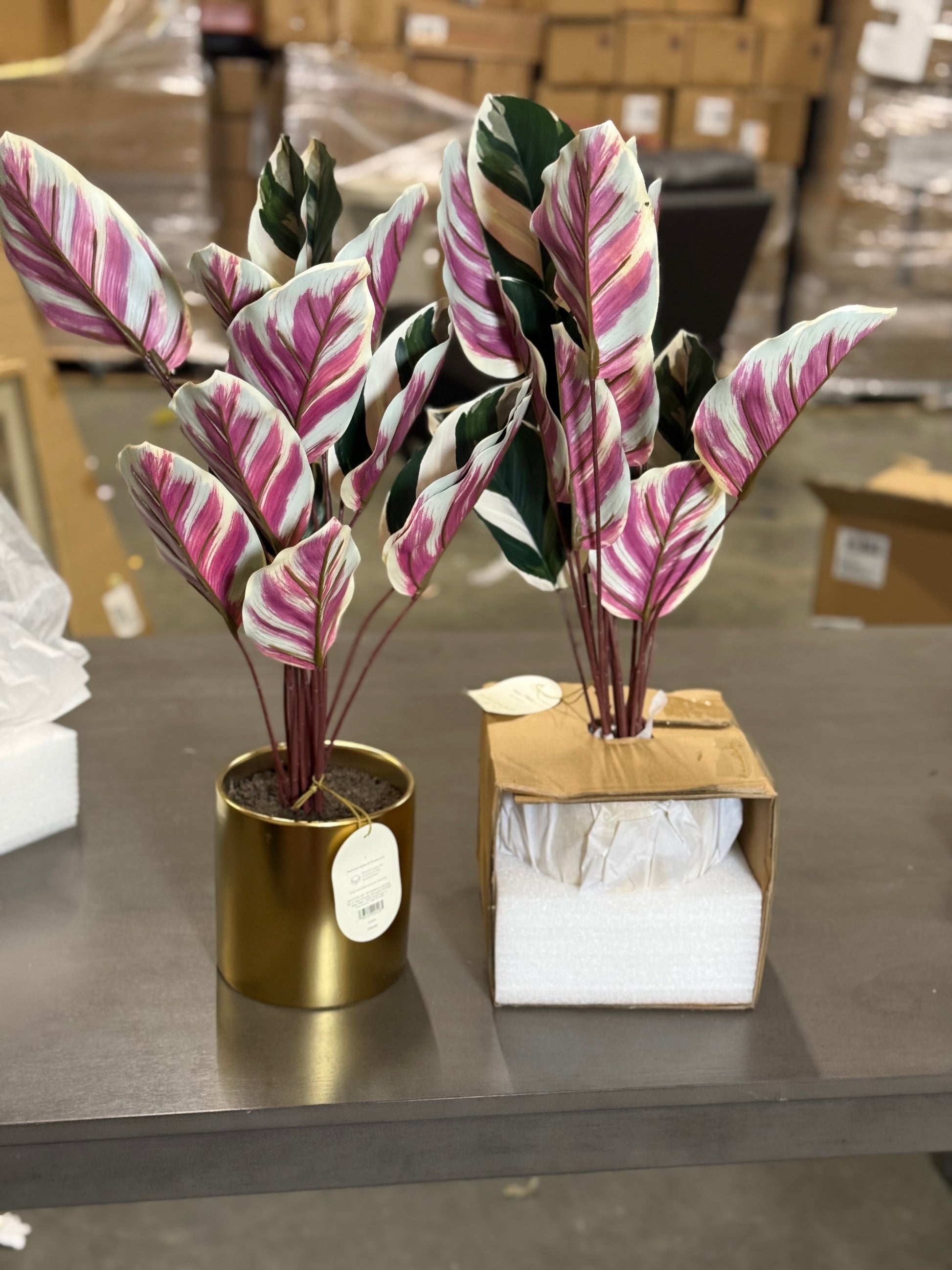 2 PCS Fake Calathea White Fusion Plant