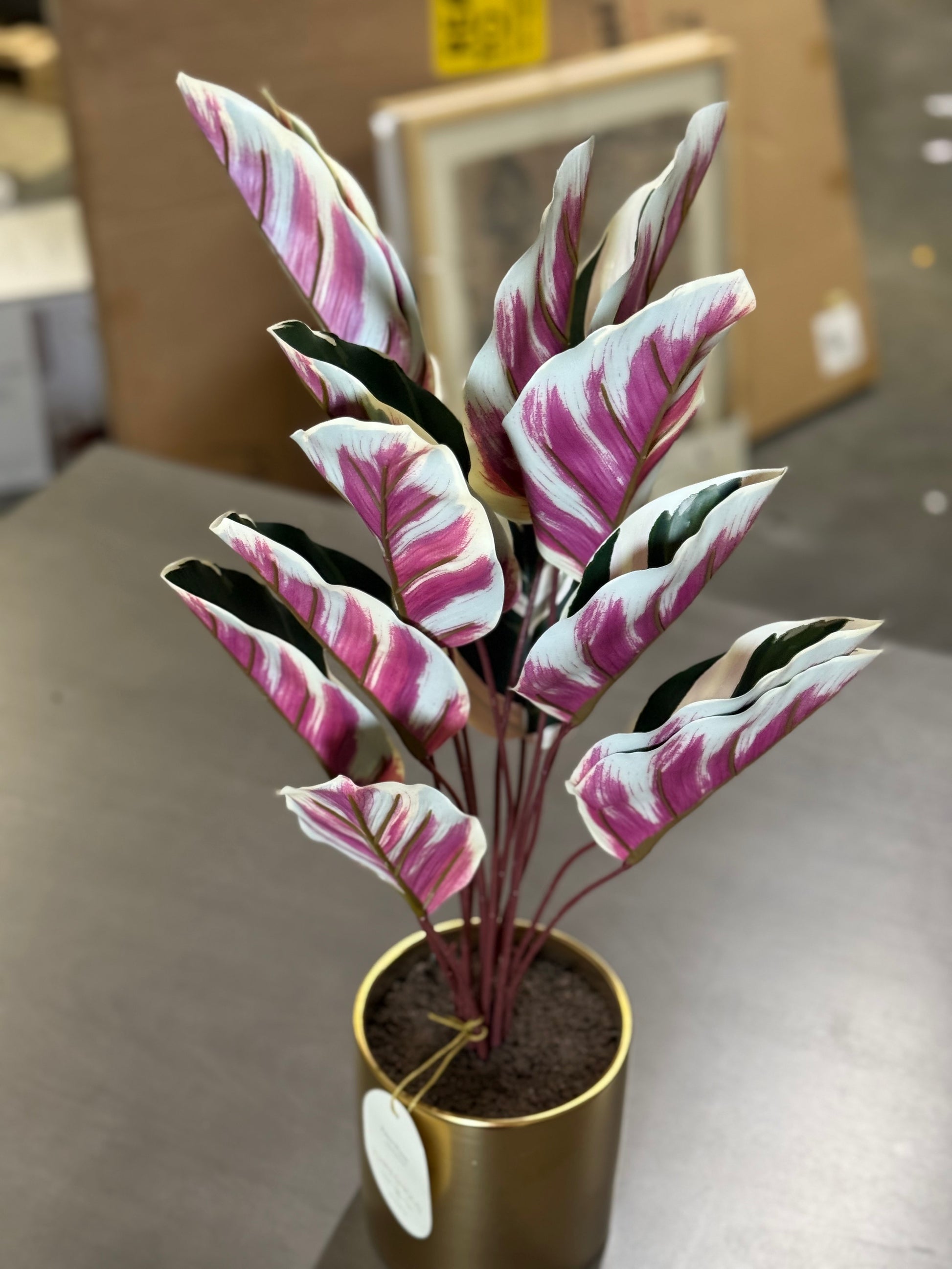 2 PCS Fake Calathea White Fusion Plant