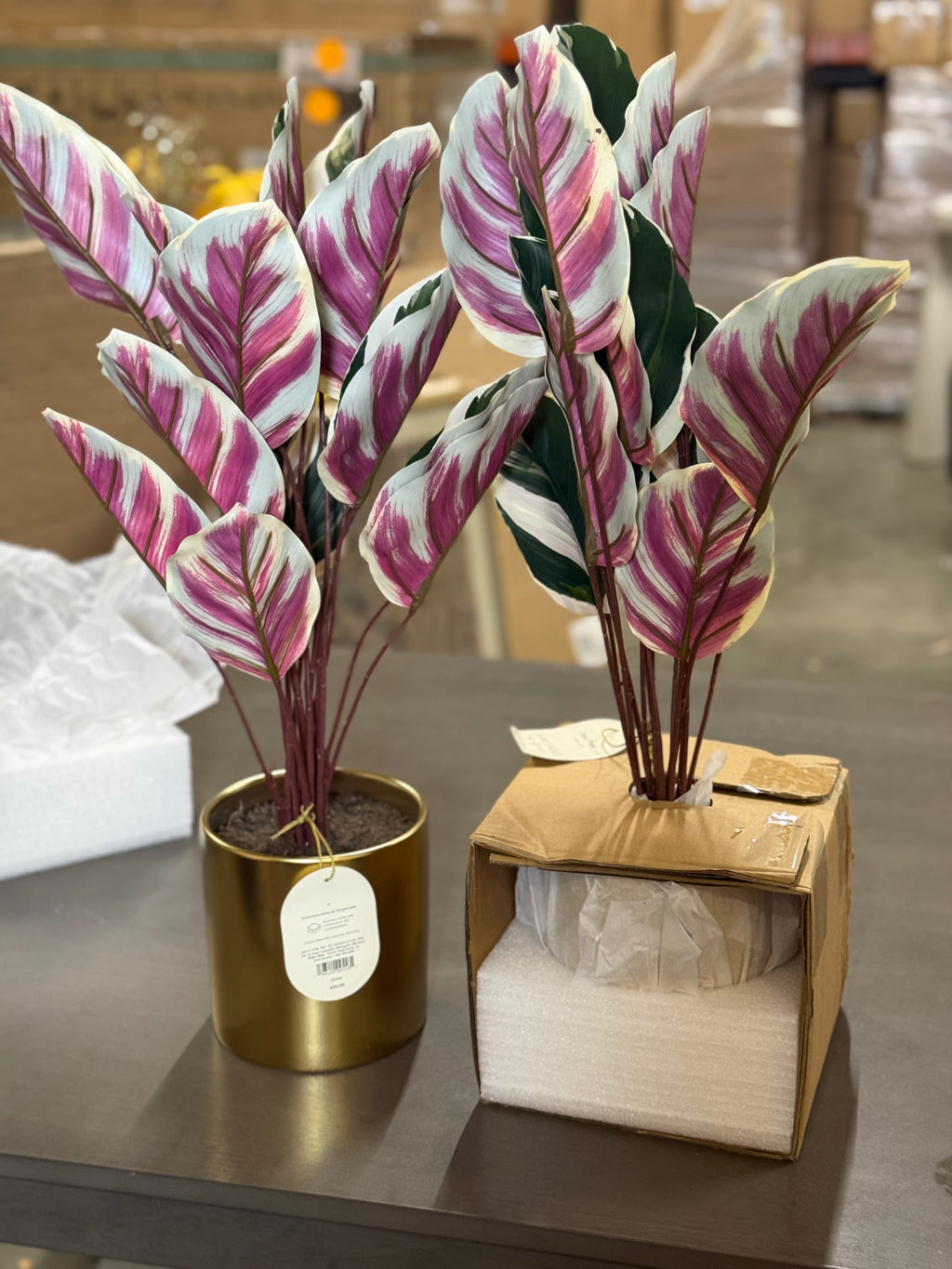 2 PCS Fake Calathea White Fusion Plant