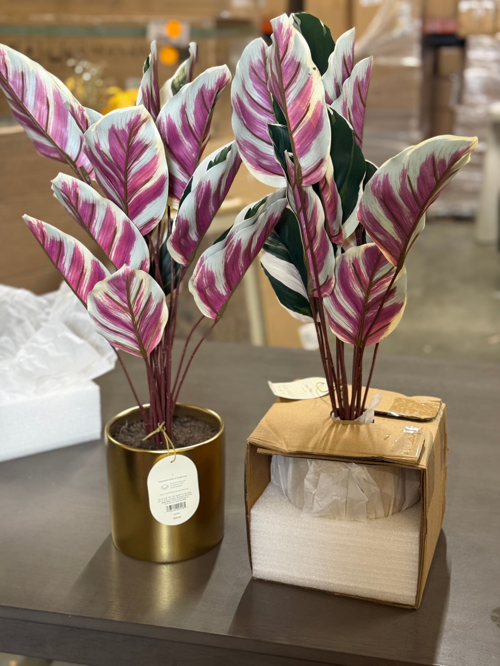 2 PCS Fake Calathea White Fusion Plant