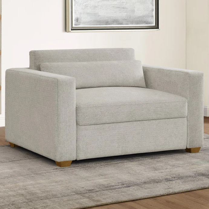 Dillard Sleeper Chair - Free Delivery