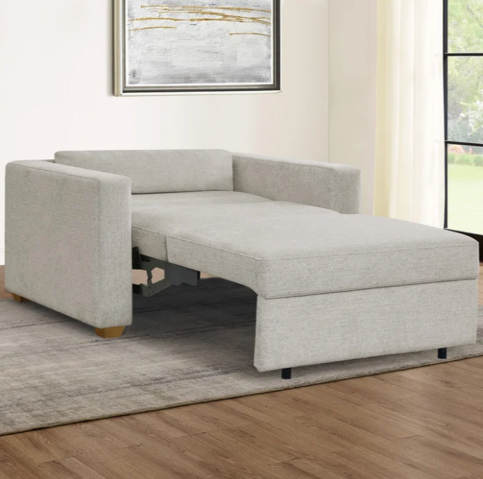 Dillard Sleeper Chair - Free Delivery