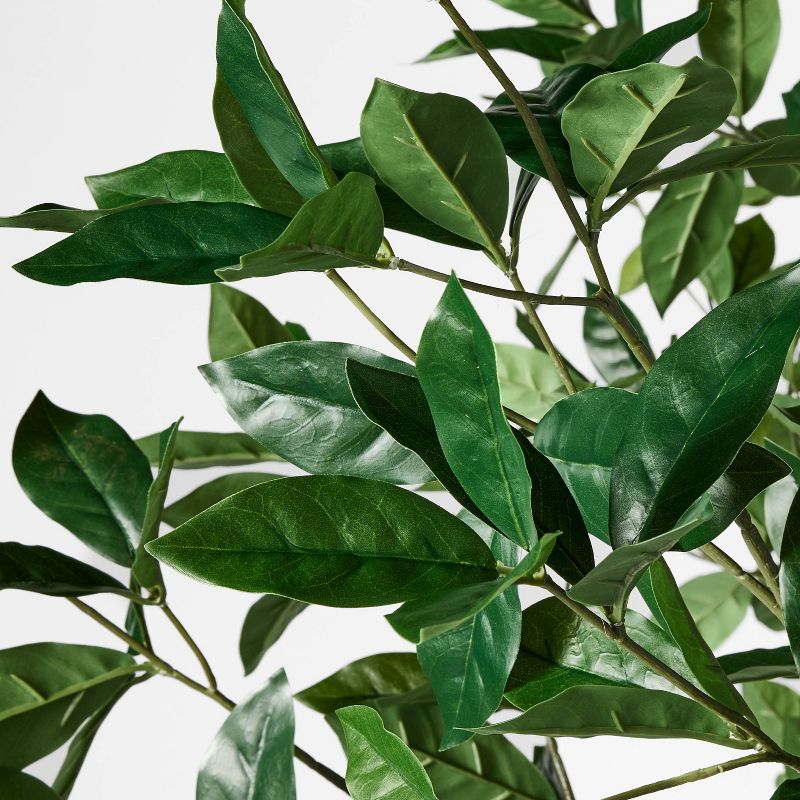 Bay Leaf Tree in Basket - Threshold™ designed with Studio McGee