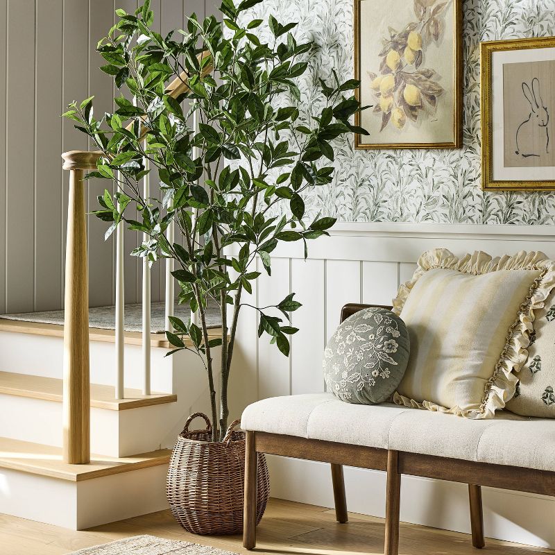 Bay Leaf Tree in Basket - Threshold™ designed with Studio McGee
