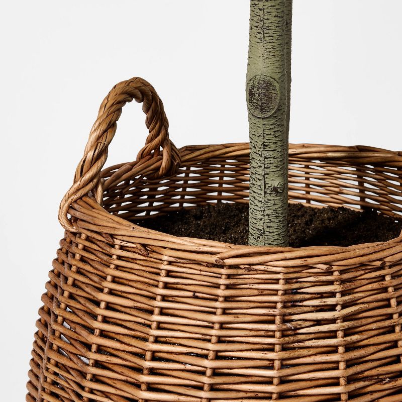 Bay Leaf Tree in Basket - Threshold™ designed with Studio McGee